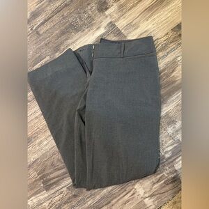 The express dress pants